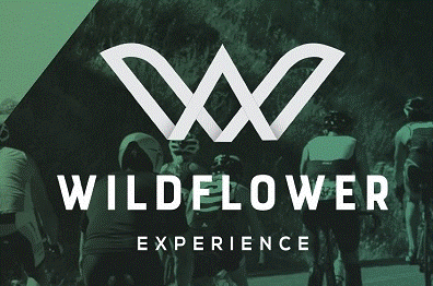 Wildflower Experience (May 2, 2026)